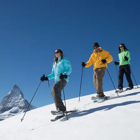 アパート Jaegerhof Serviced Apartements ツェルマット